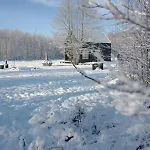 Miedzy Olchami Nad Jeziorem. Caloroczne. Cisza, Spokoj.
