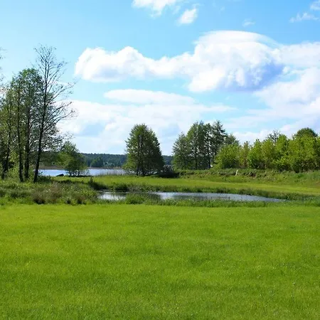 Miedzy Olchami Nad Jeziorem. Caloroczne. Cisza, Spokoj.