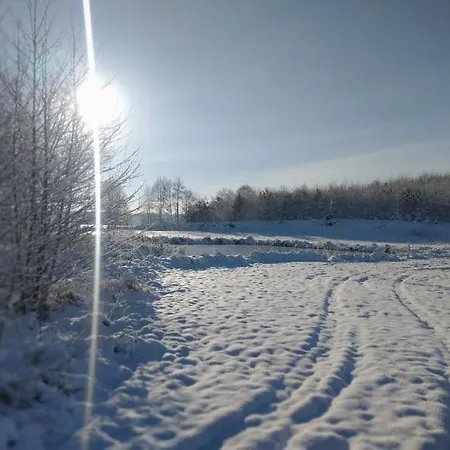 Miedzy Olchami Nad Jeziorem. Caloroczne. Cisza, Spokoj. Semesterbostad Barczewo