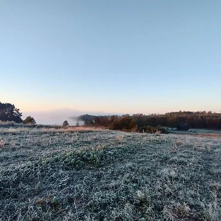 Miedzy Olchami Nad Jeziorem. Caloroczne. Cisza, Spokoj. *