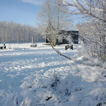 Miedzy Olchami Nad Jeziorem. Caloroczne. Cisza, Spokoj.