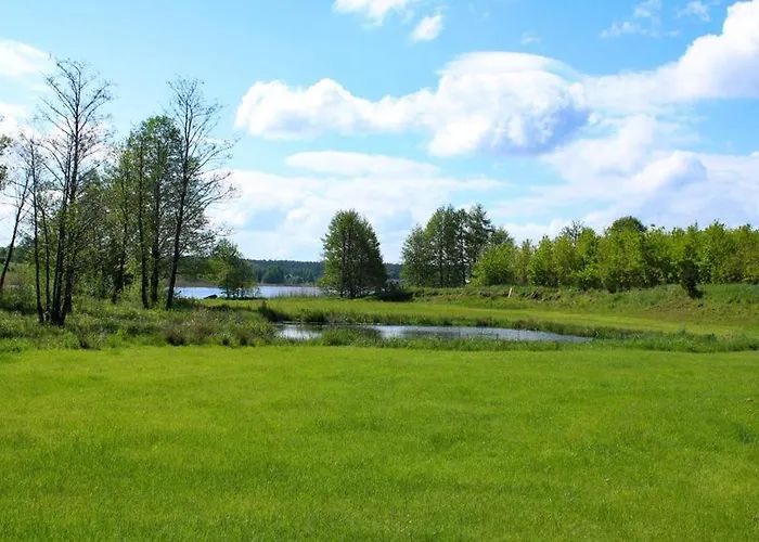 Miedzy Olchami Nad Jeziorem. Caloroczne. Cisza, Spokoj.