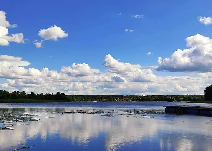 Miedzy Olchami Nad Jeziorem. Caloroczne. Cisza, Spokoj.