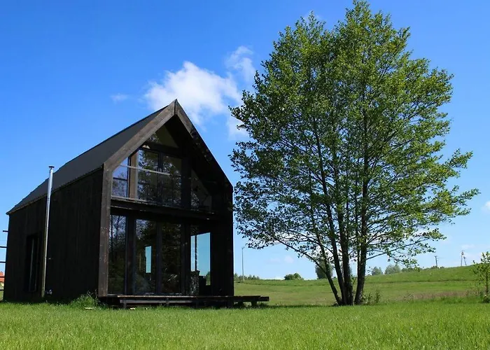 Miedzy Olchami Nad Jeziorem. Caloroczne. Cisza, Spokoj.