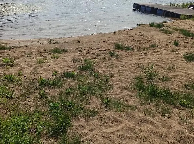 Miedzy Olchami Nad Jeziorem. Caloroczne. Cisza, Spokoj. 度假居