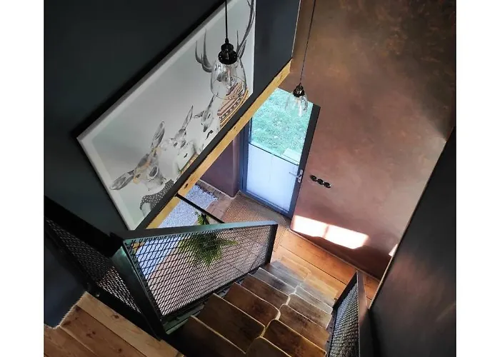 Miedzy Olchami Nad Jeziorem. Caloroczne. Cisza, Spokoj. * 巴尔切沃