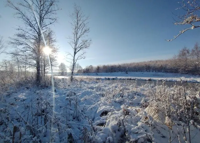 度假居 Miedzy Olchami Nad Jeziorem. Caloroczne. Cisza, Spokoj. 巴尔切沃