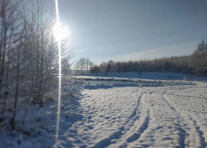 Miedzy Olchami Nad Jeziorem. Caloroczne. Cisza, Spokoj. 度假居 巴尔切沃