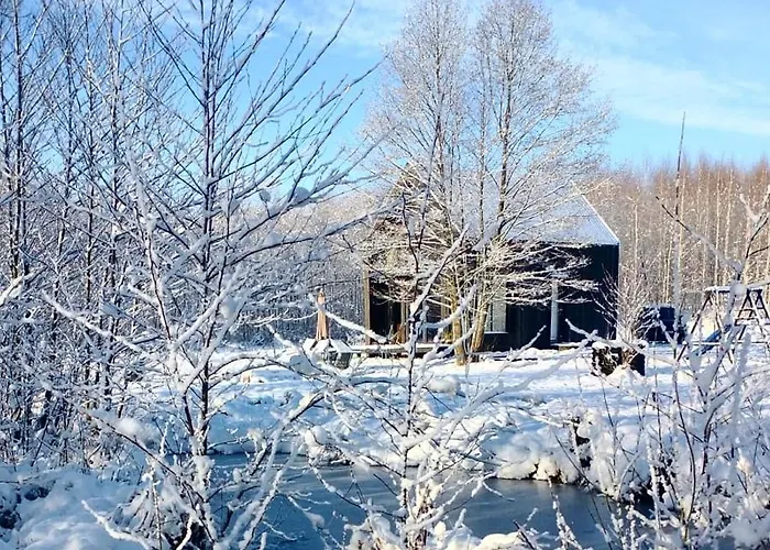 度假居 Miedzy Olchami Nad Jeziorem. Caloroczne. Cisza, Spokoj. *