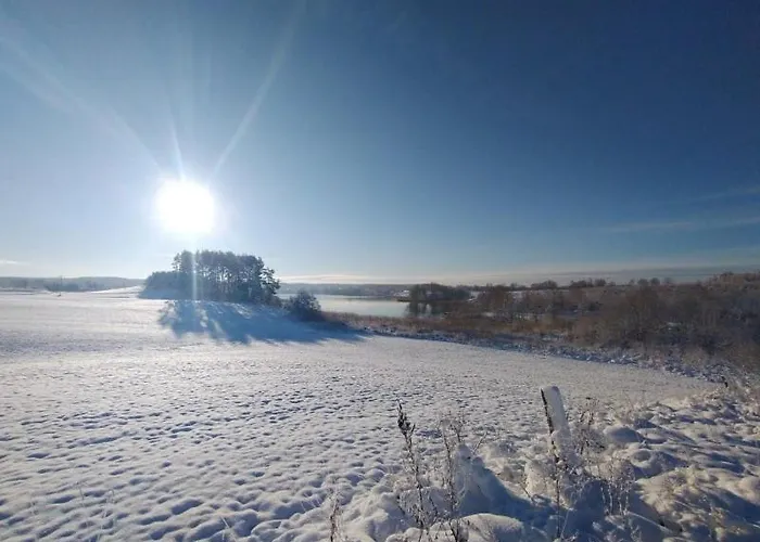 Miedzy Olchami Nad Jeziorem. Caloroczne. Cisza, Spokoj. 度假居 *