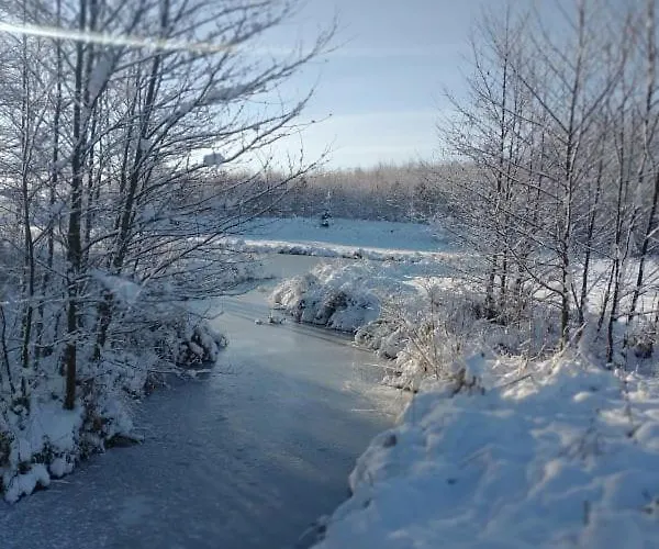 度假居 Miedzy Olchami Nad Jeziorem. Caloroczne. Cisza, Spokoj. 巴尔切沃