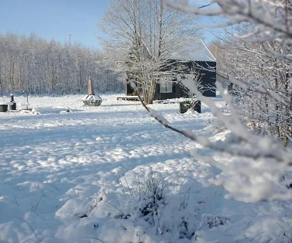 Miedzy Olchami Nad Jeziorem. Caloroczne. Cisza, Spokoj.
