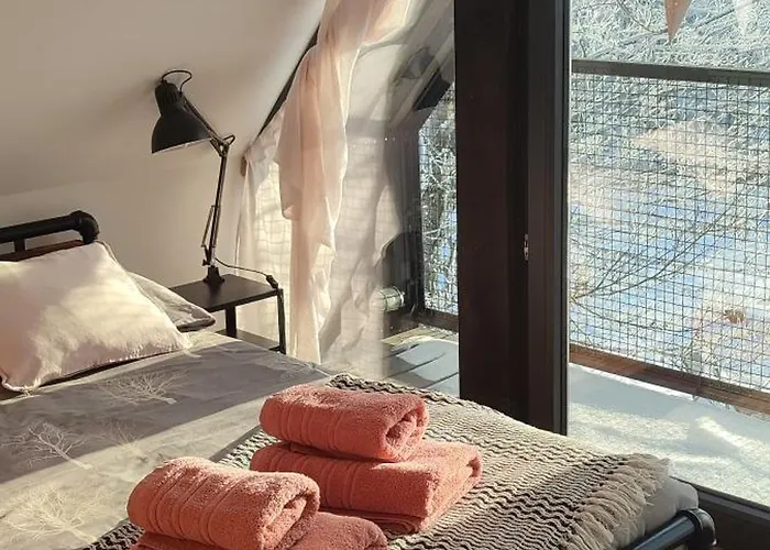 Miedzy Olchami Nad Jeziorem. Caloroczne. Cisza, Spokoj. 巴尔切沃